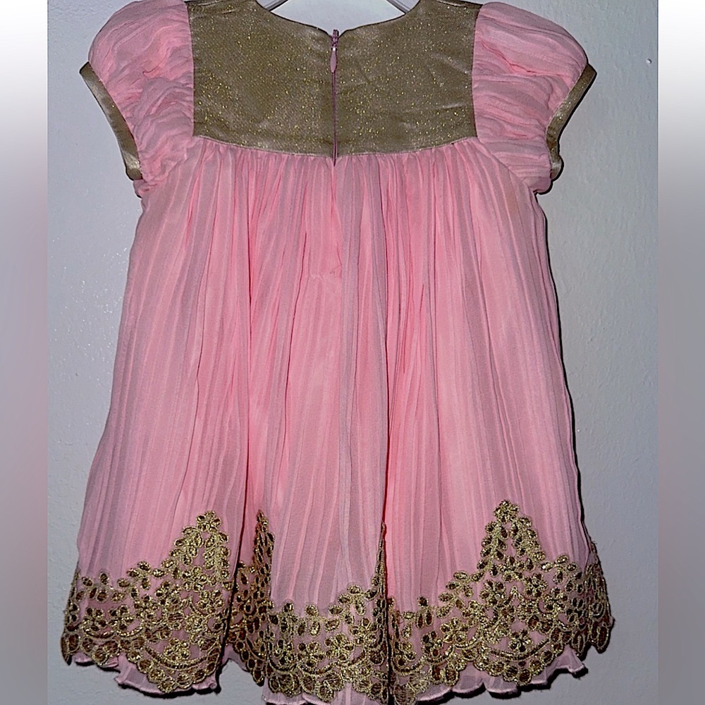 Pink and Gold Embroidered Dress
